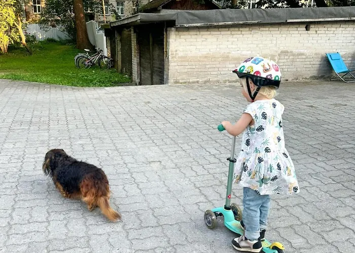 Stylish 2-room Near Kadriorg Appartement